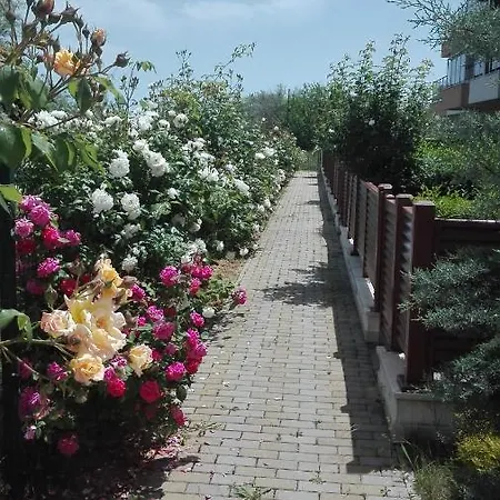 Byla Terrace - Sea View
