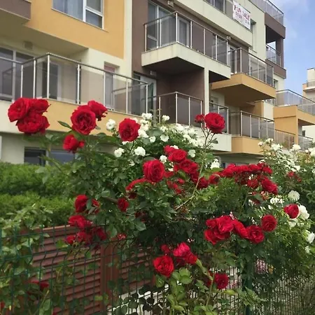 Byla Terrace - Sea View Apartment *